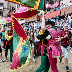 palio 2022-19